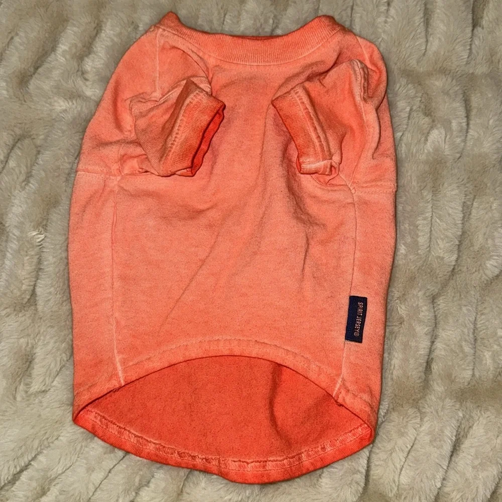 Disneyland Orange ombré Pet T-Shirt (small)